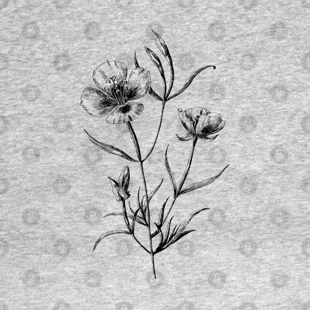 California Poppy Flower Black and White Vintage Botanical Illustration, by Biophilia